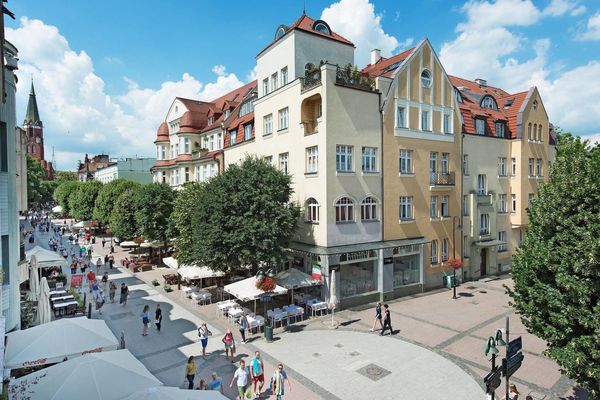 Lion Sopot